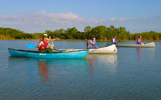 Seguro de viaje al parque nacional de los Everglades